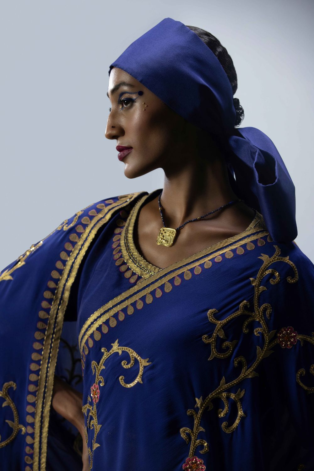 Embroidered Saree With Blouse